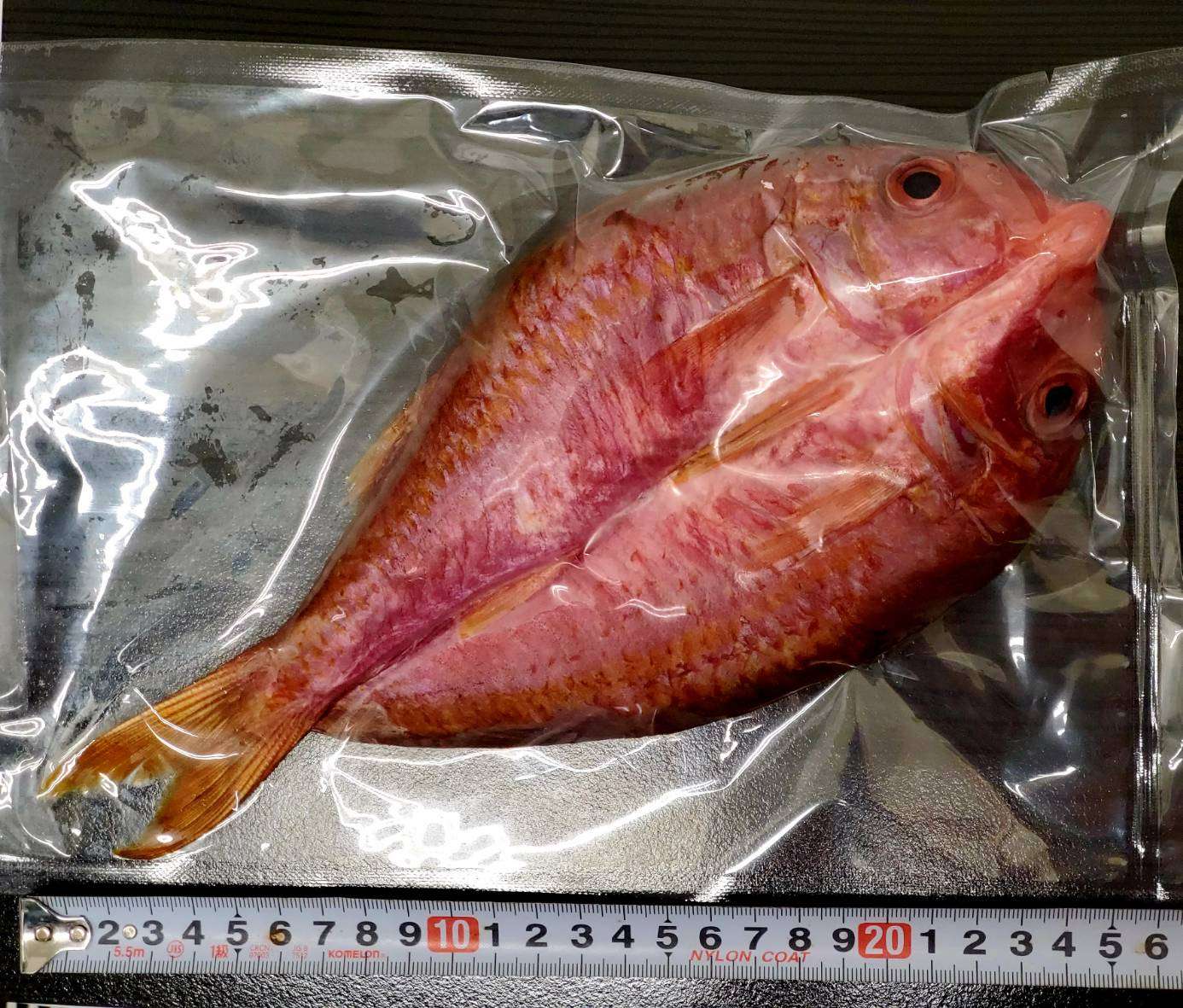 【神戸】高知から産地直送のヨメヒメジでつくった一夜干し